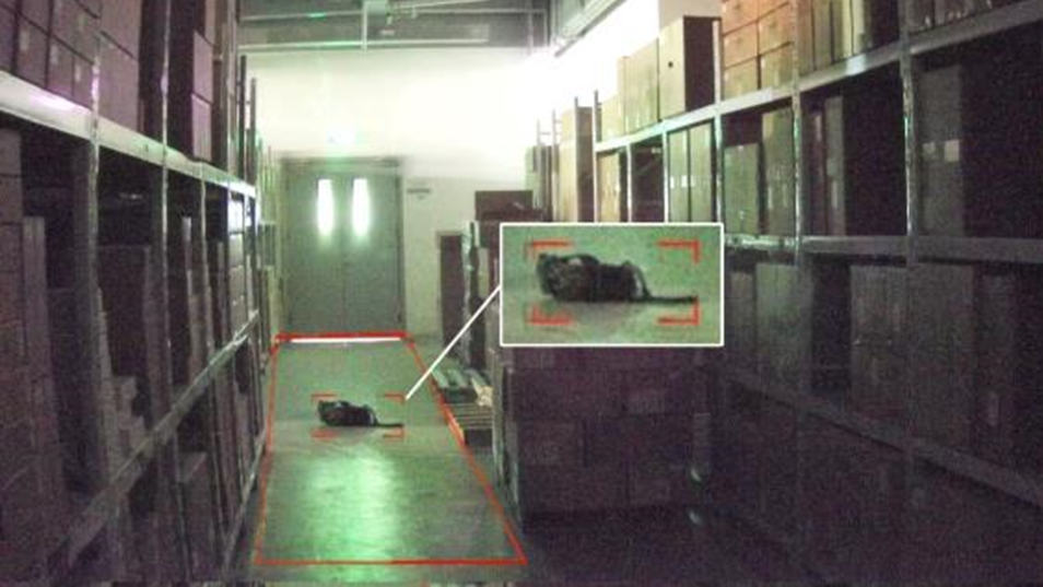 yp街机·电子游戏(中国)官方网站