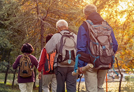 yp街机·电子游戏(中国)官方网站