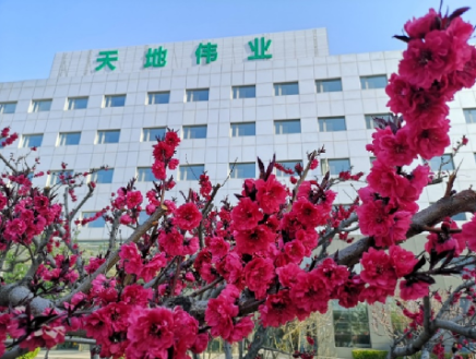 yp街机·电子游戏(中国)官方网站